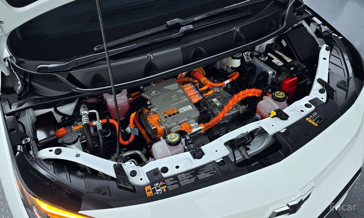  ChevroletGMDaewoo Bolt EV