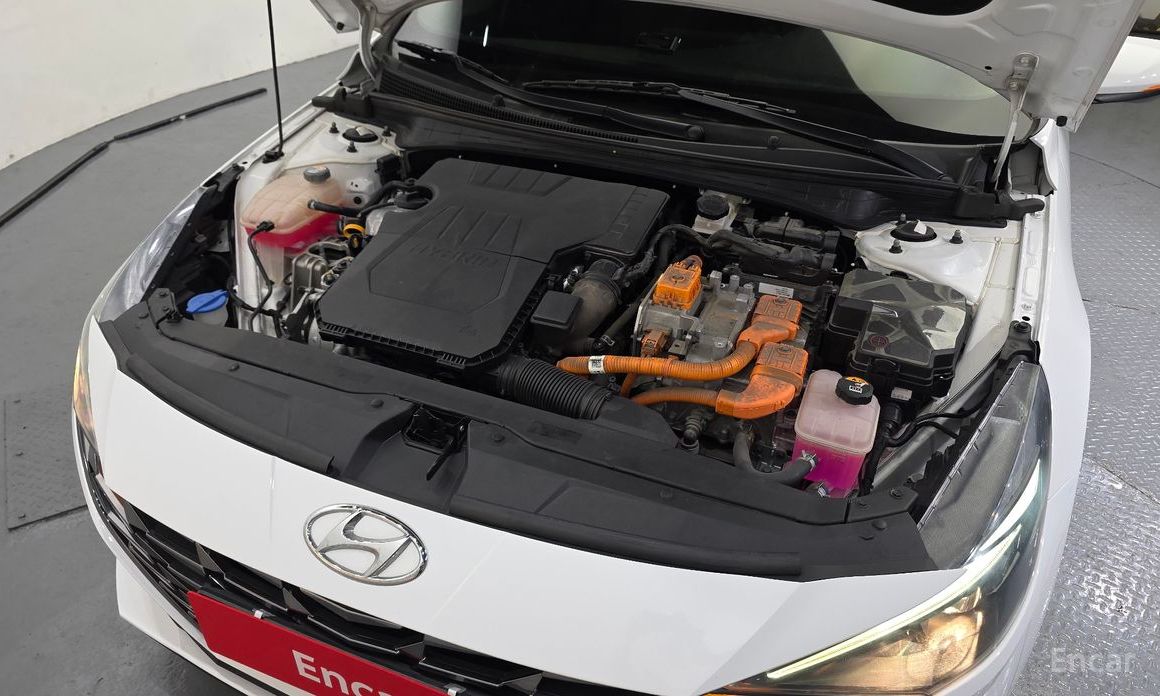 Hyundai AVANTE