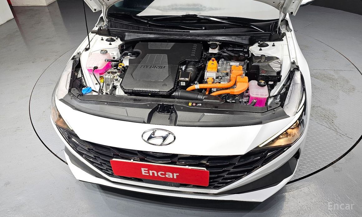  Hyundai AVANTE