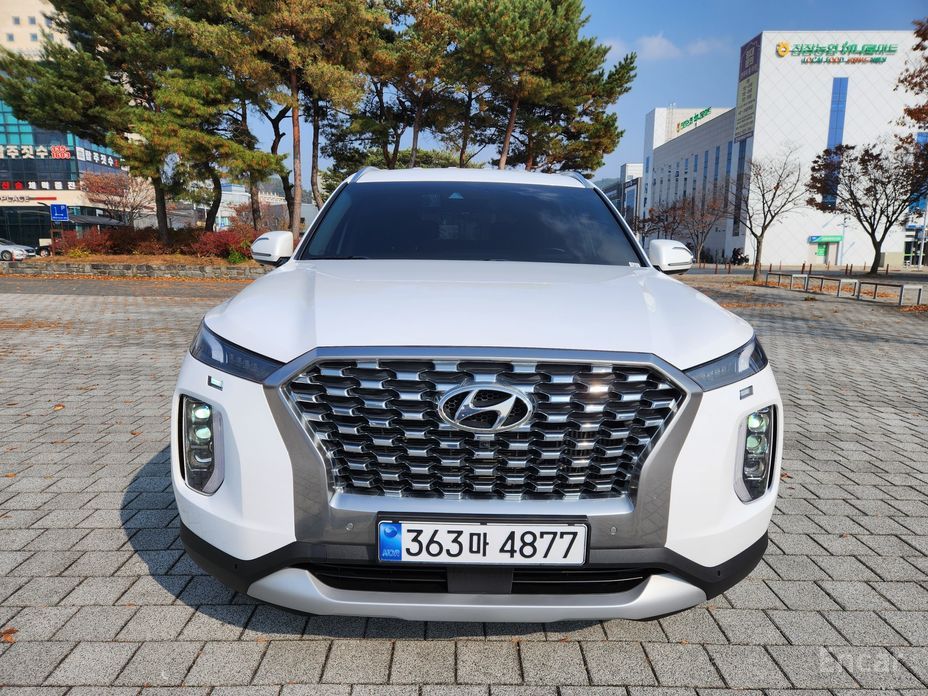  Hyundai Palisade