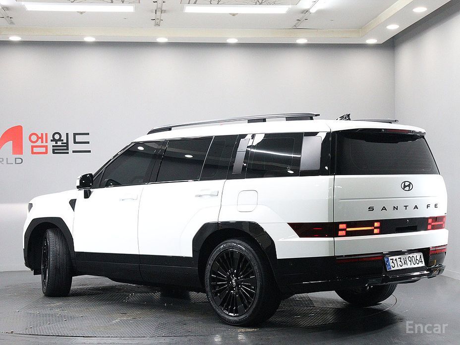  Hyundai Santafe