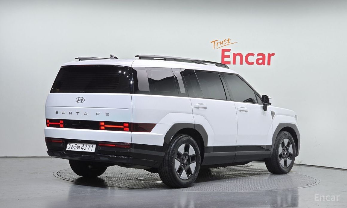  Hyundai Santafe
