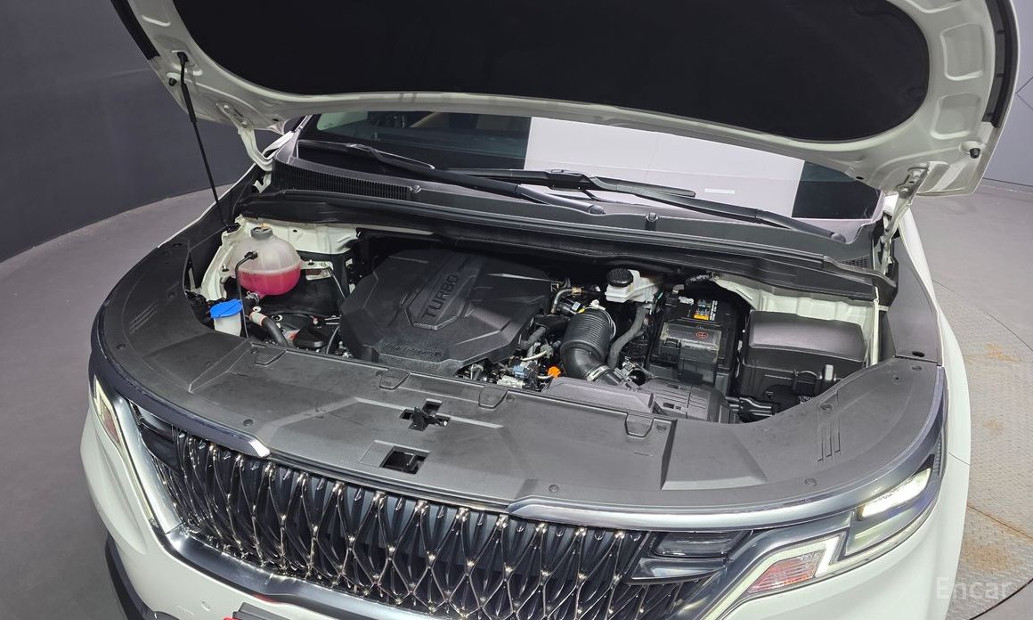  Kia Canival