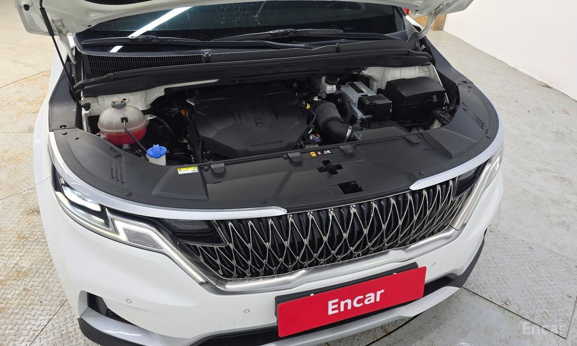  Kia Canival