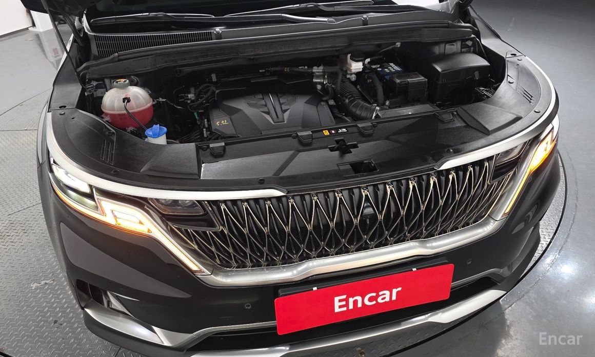  Kia Canival