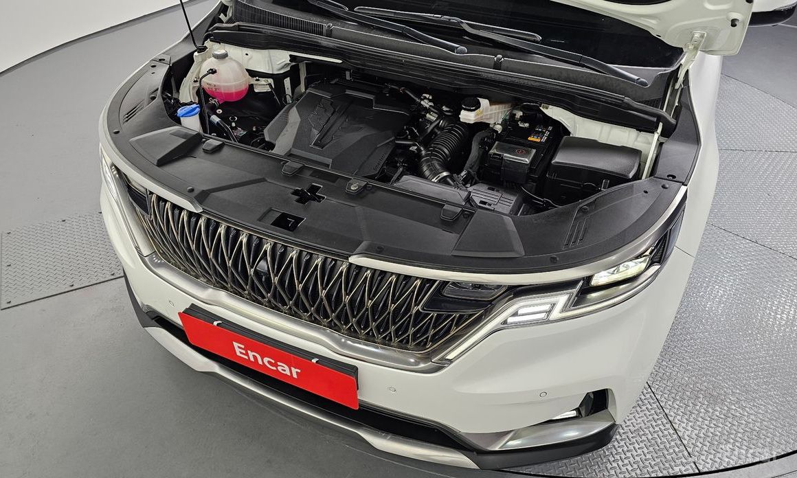  Kia Canival
