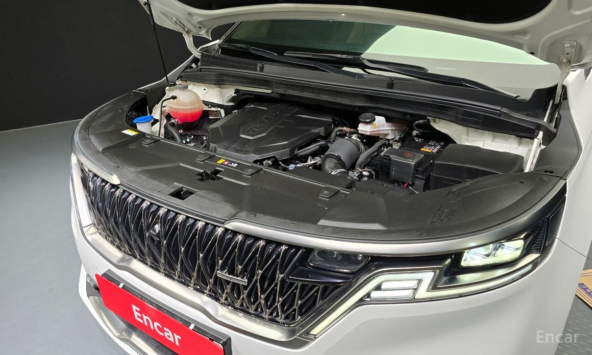  Kia Canival