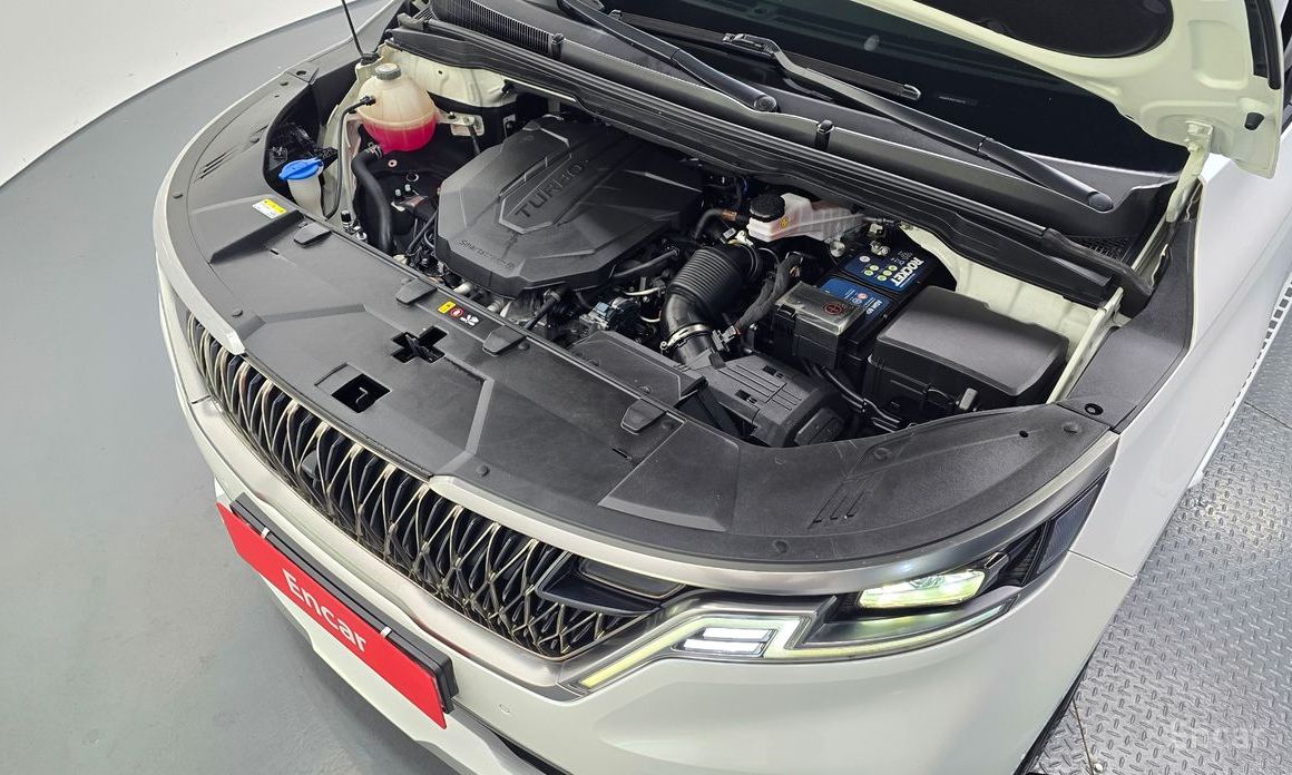  Kia Canival