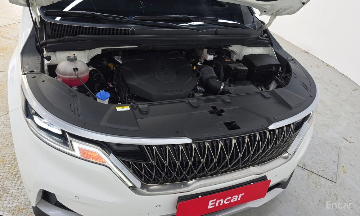  Kia Canival