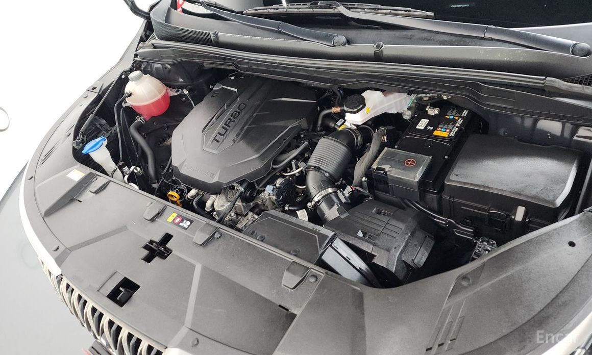  Kia Canival