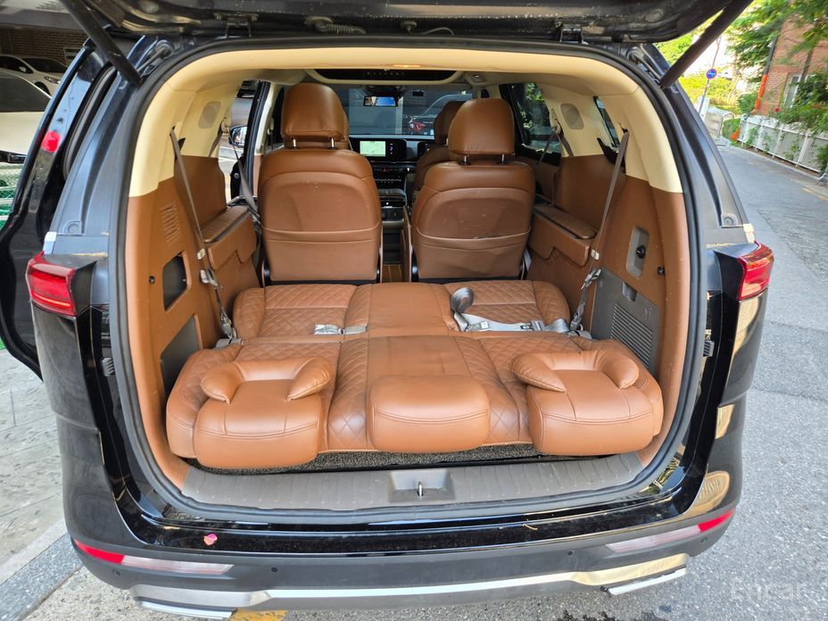  Kia Canival