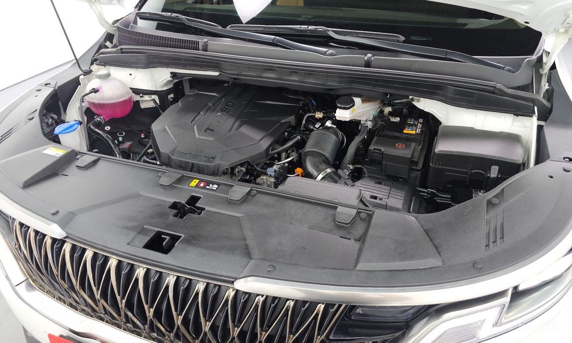  Kia Canival