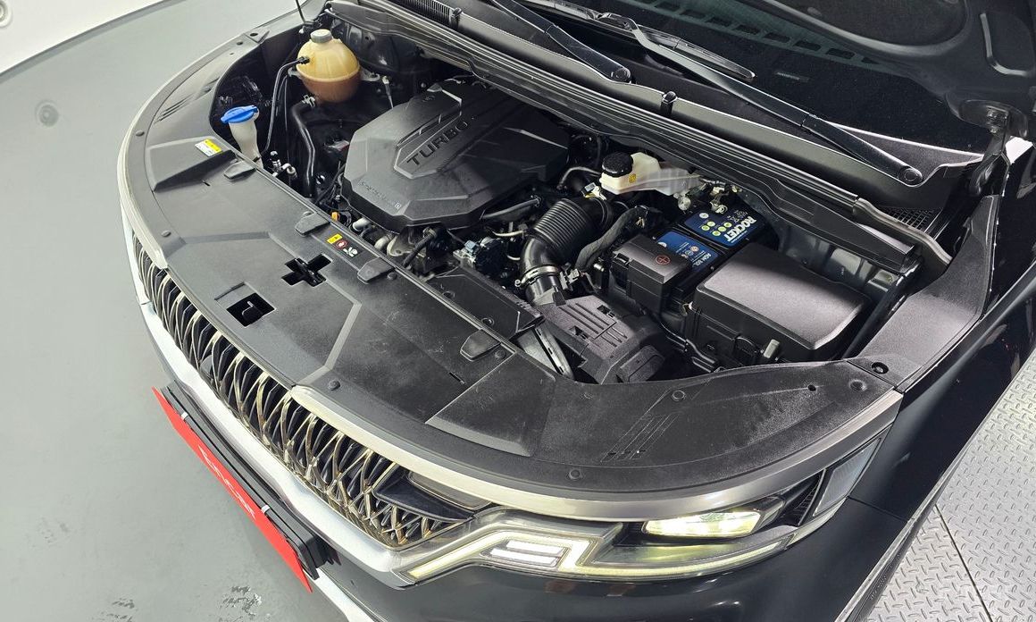  Kia Canival