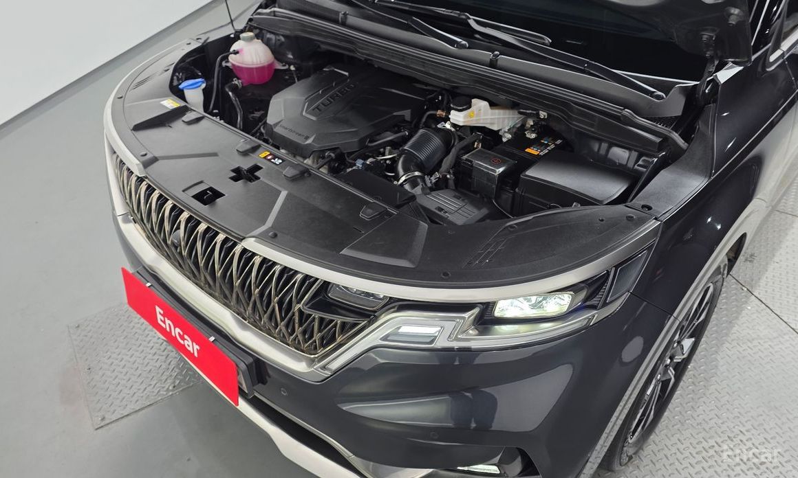  Kia Canival