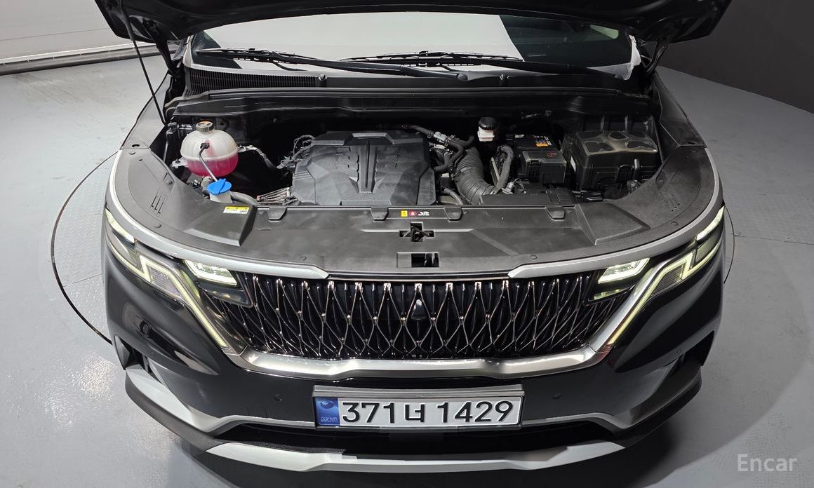  Kia Canival
