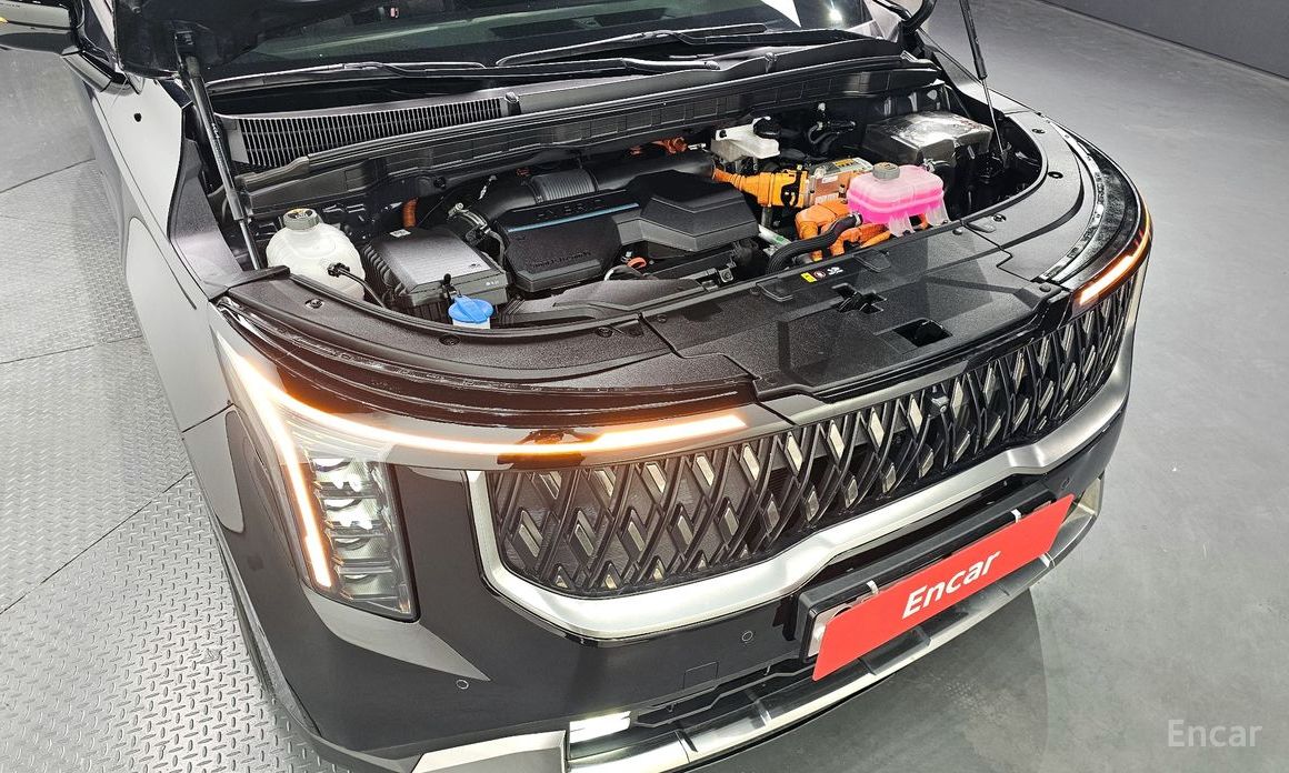  Kia Canival