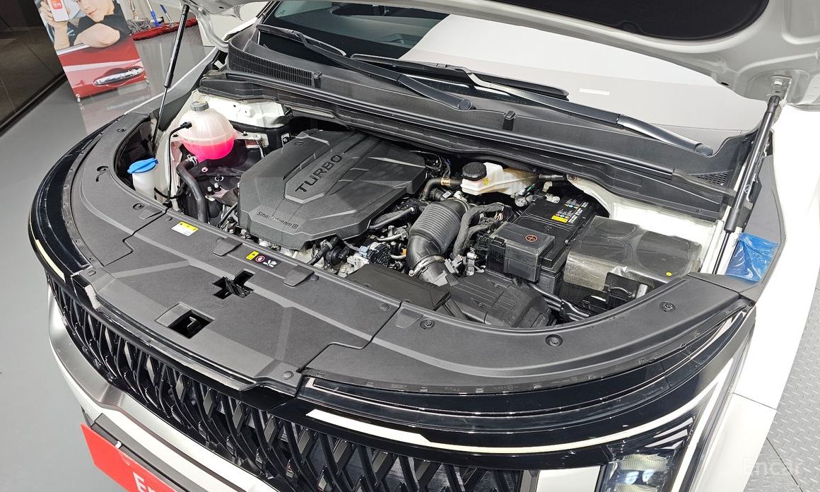  Kia Canival
