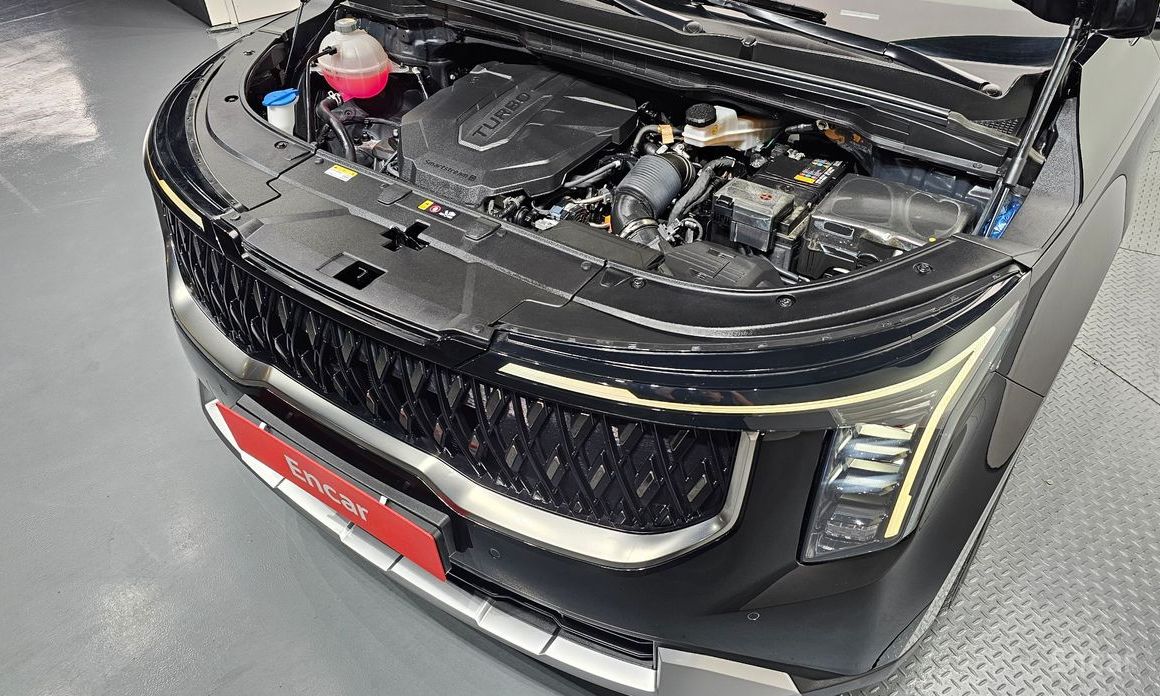 Kia Canival
