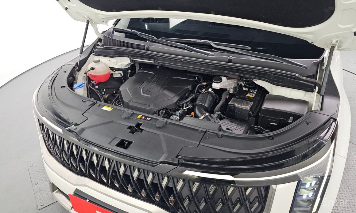 Kia Canival