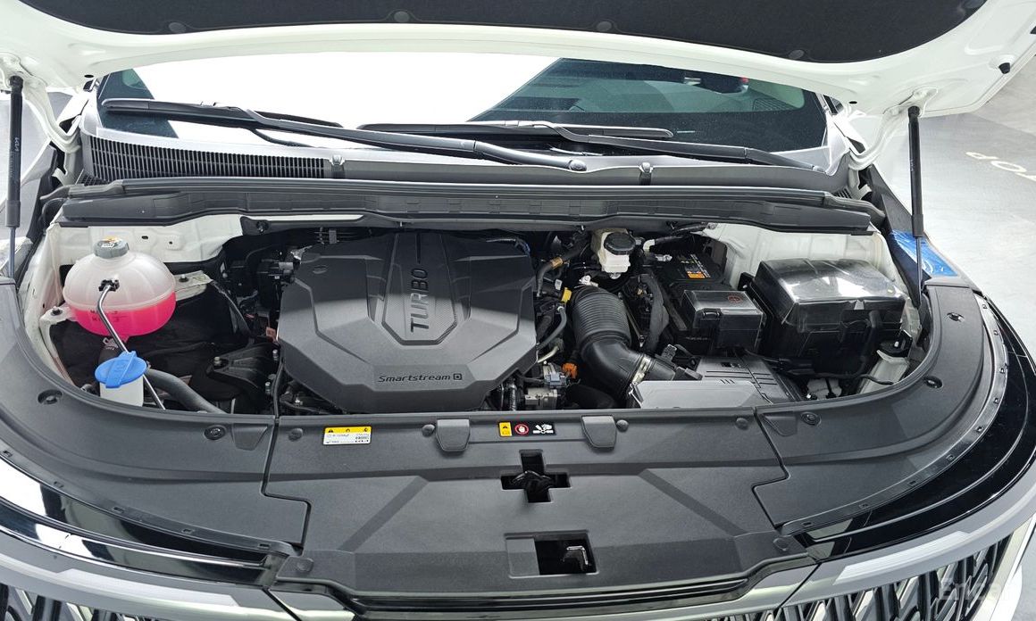  Kia Canival