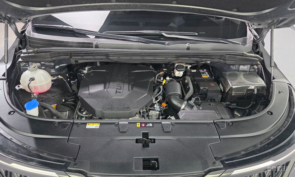  Kia Canival