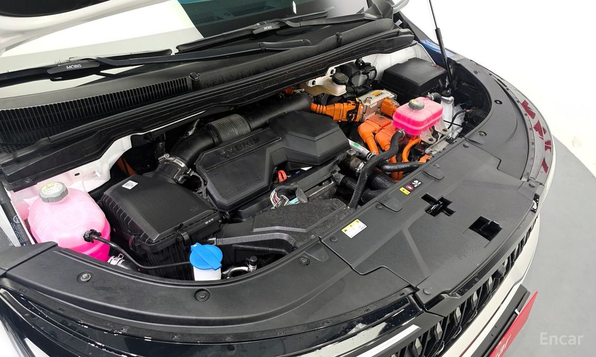  Kia Canival