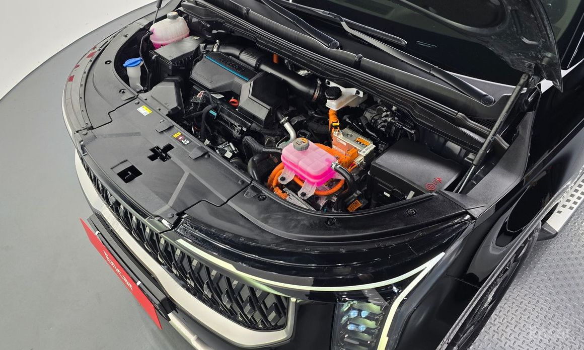  Kia Canival