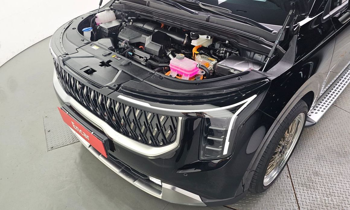  Kia Canival