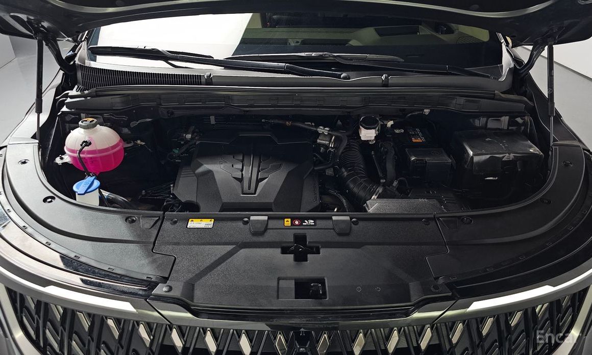 Kia Canival