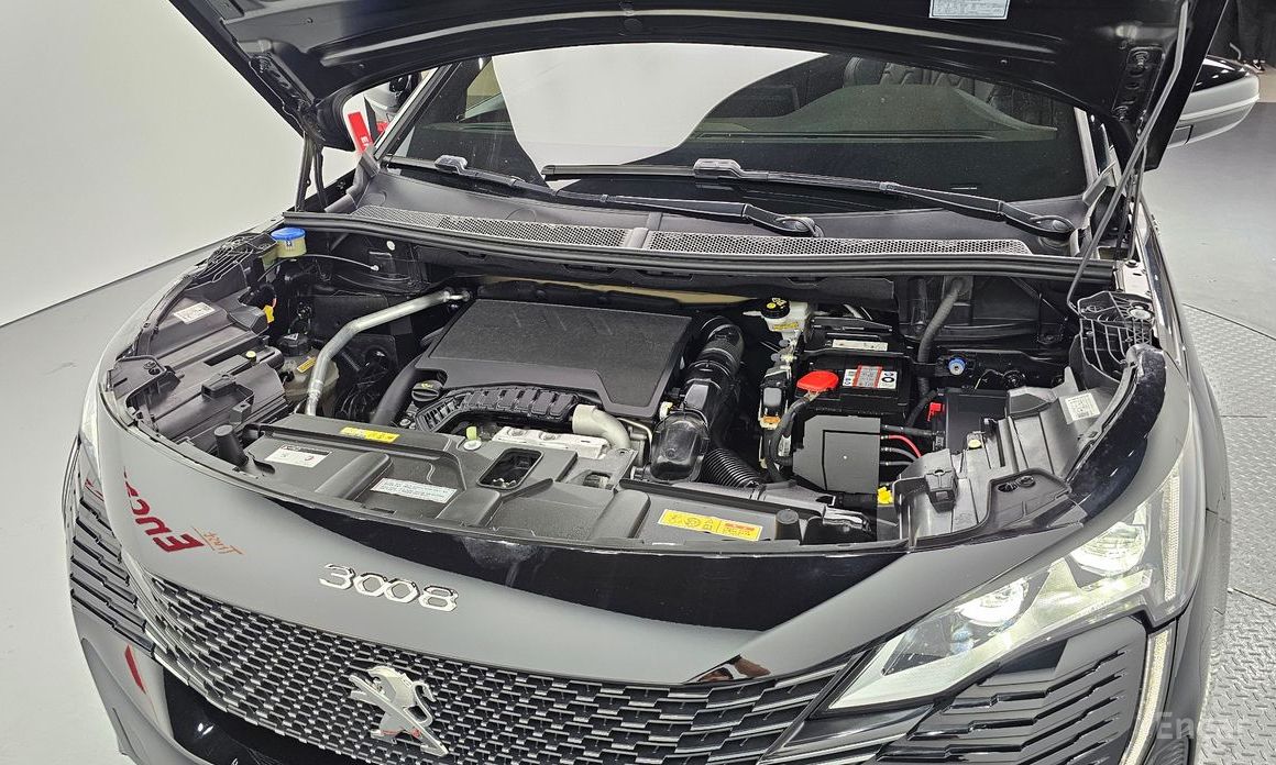  Peugeot 3008