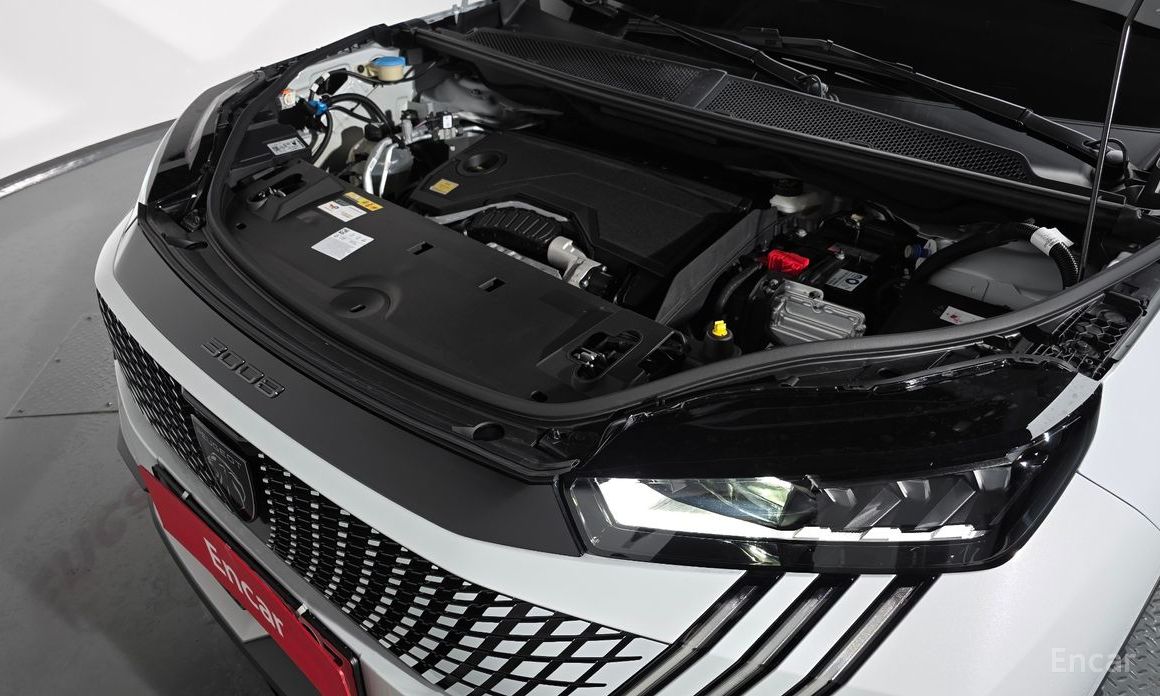  Peugeot 3008