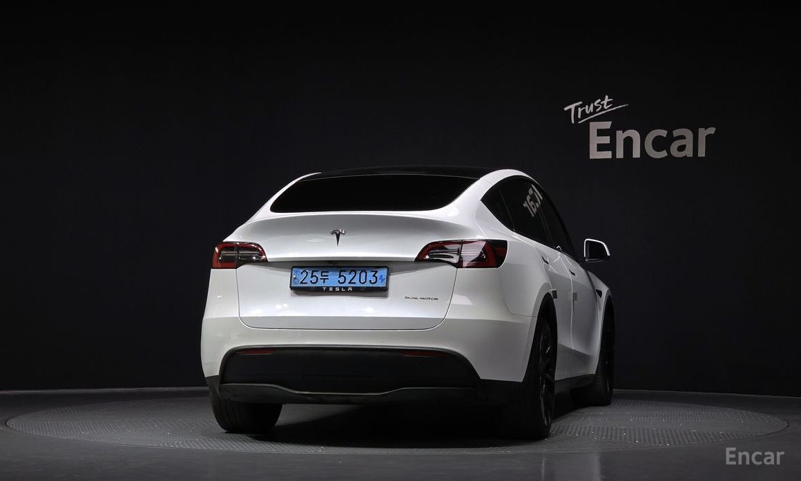  Tesla Model Y