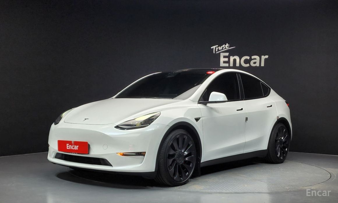  Tesla Model Y