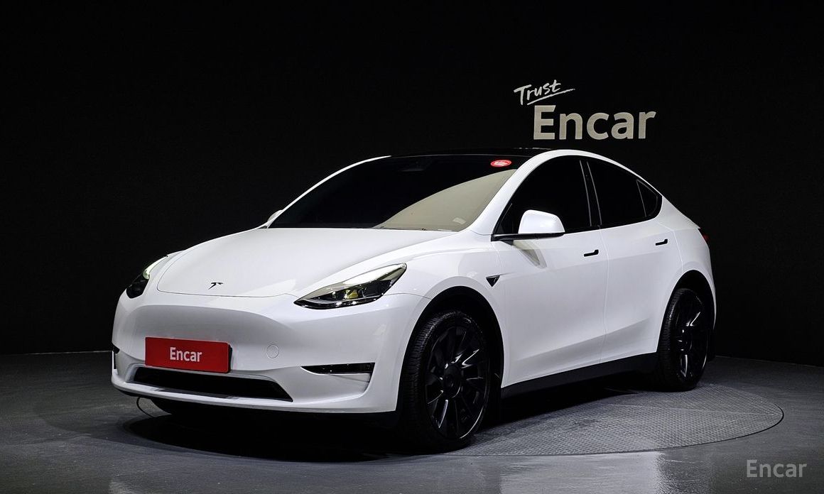  Tesla Model Y