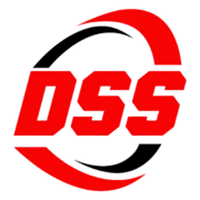 DSS Group